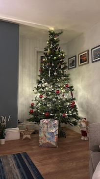 The Christmas decorations were so lovely!