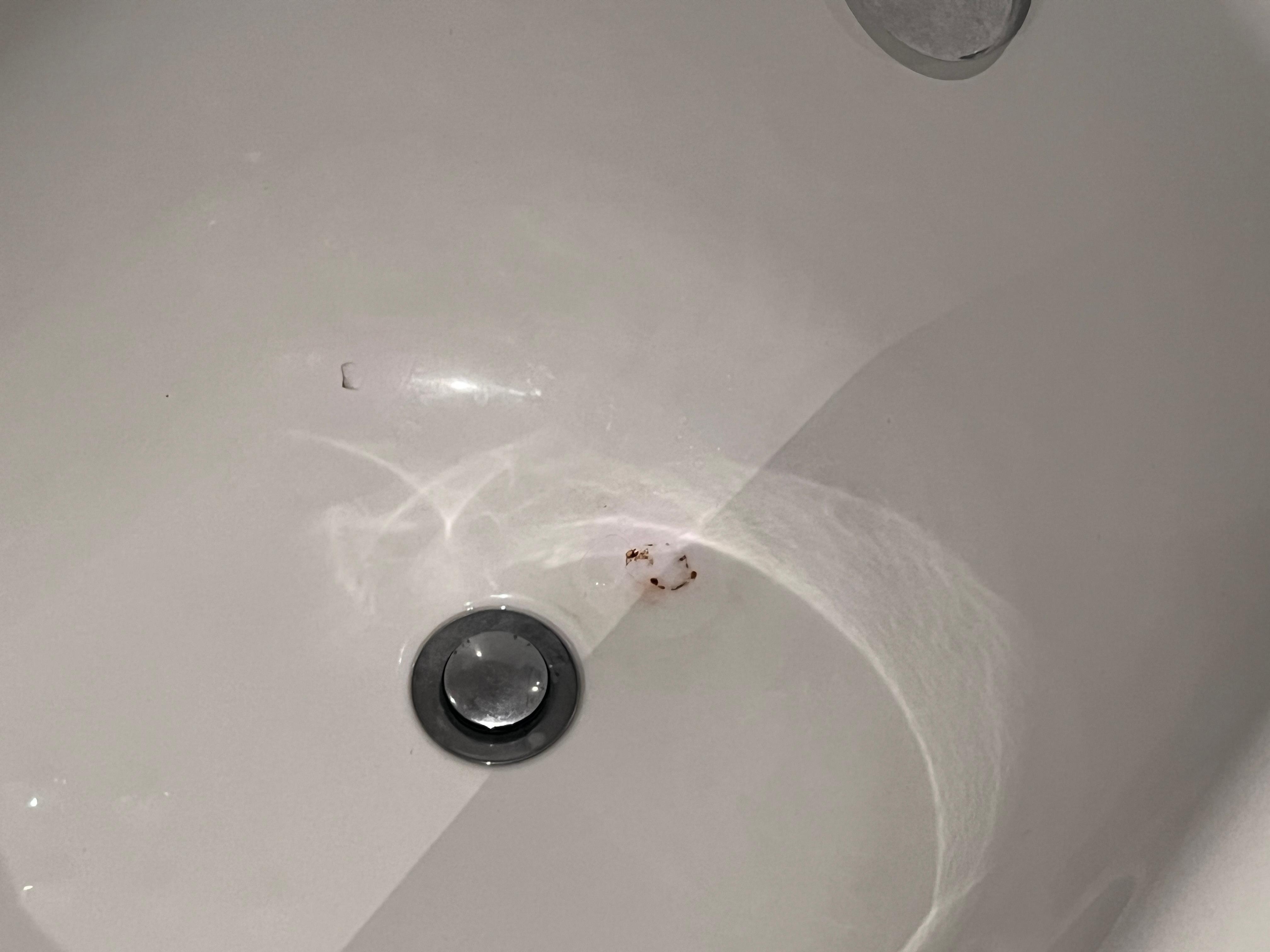 Bath tub