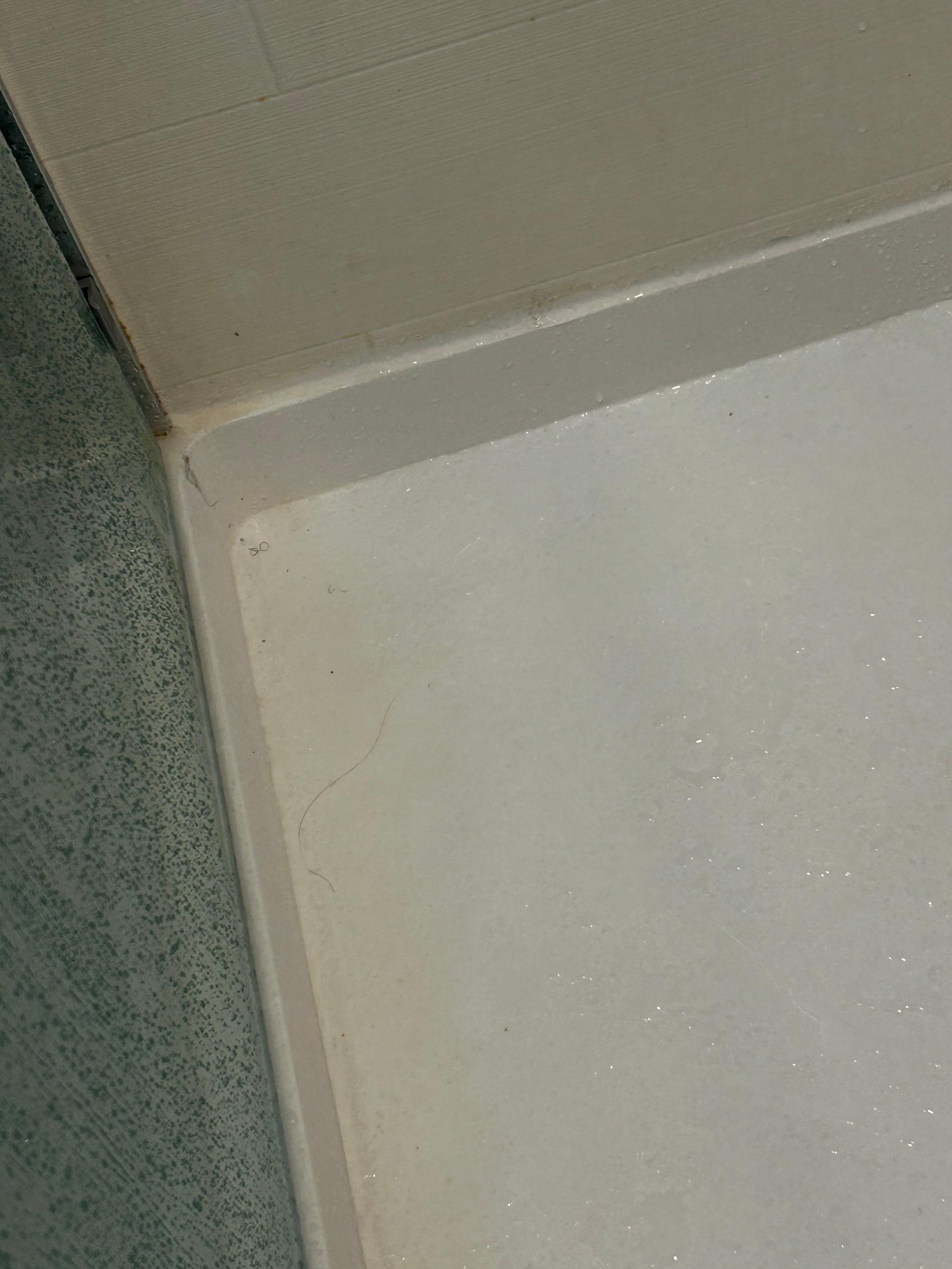 Hair that is not the texture of either of ours