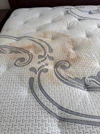 No bed liners. Just dirty stained mattresses