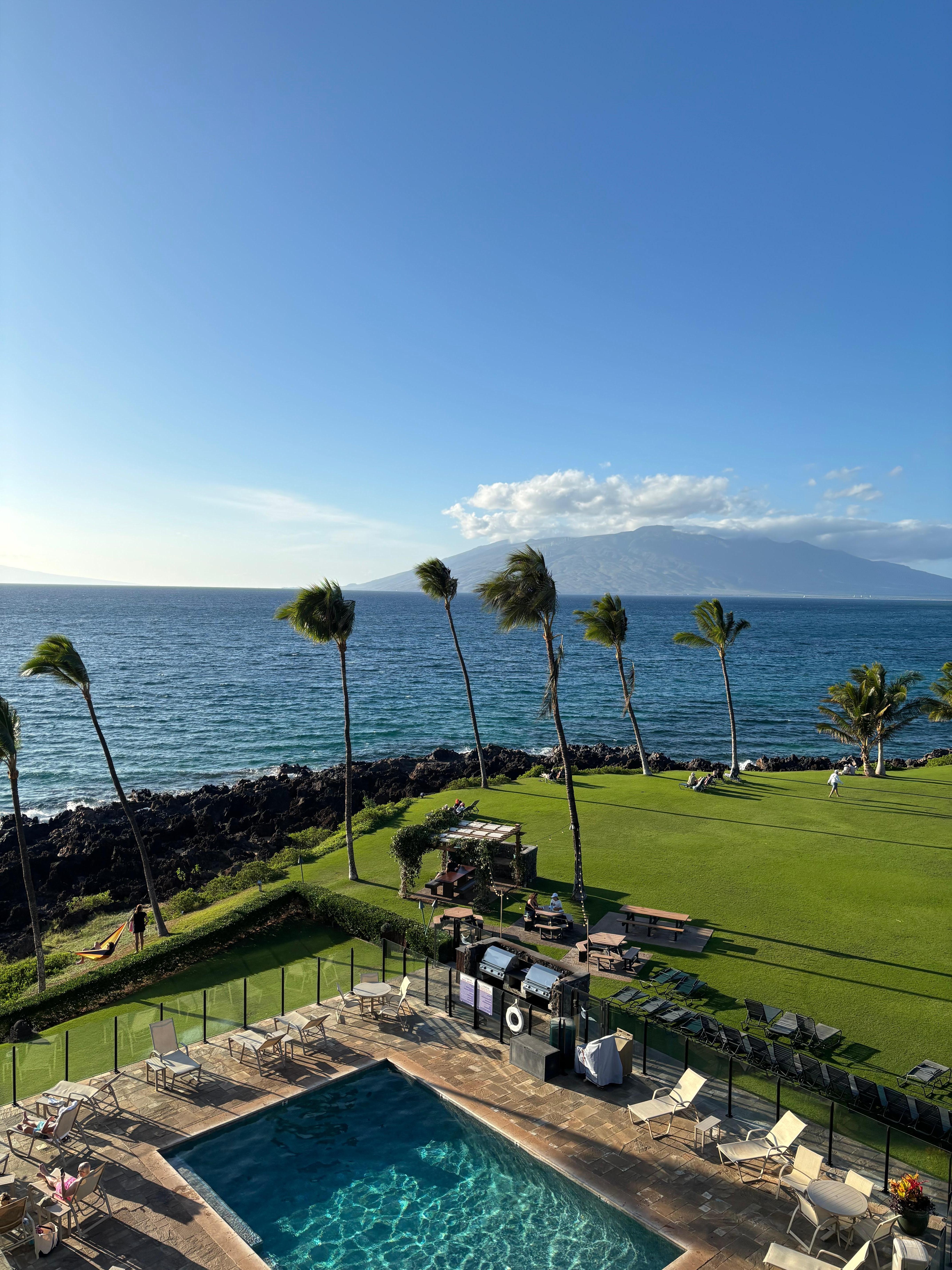  View of park in back and pool with BBQ grills