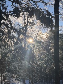 View outside of cabin