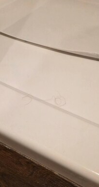 Hair in shower