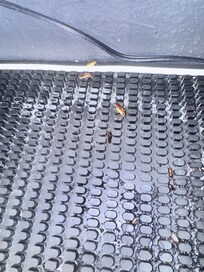 the mat under the keurig.