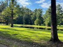 Beautiful pond!