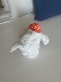 Room service towel arrangement
