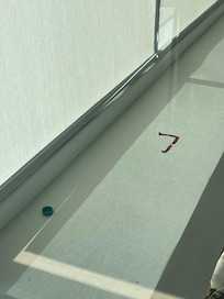 Filth on window ledge