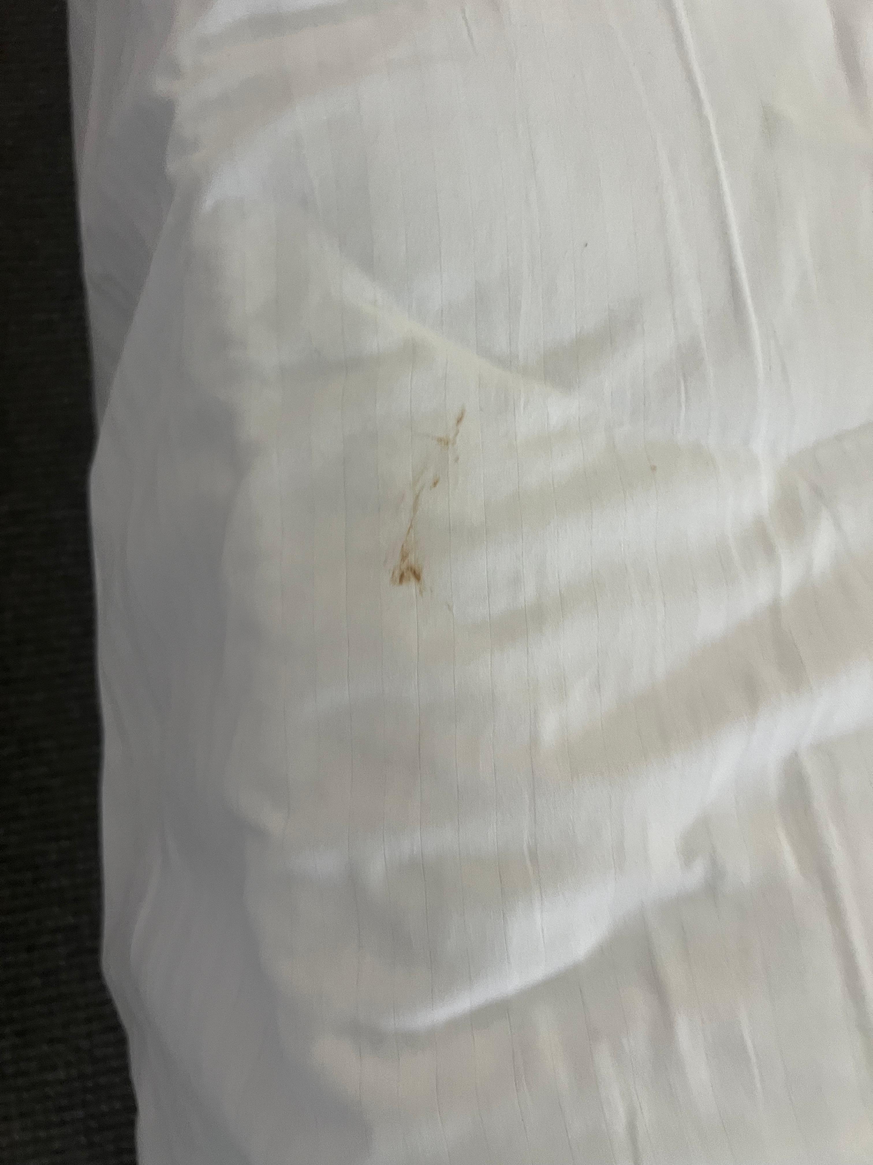 Poo stain on bedsheet