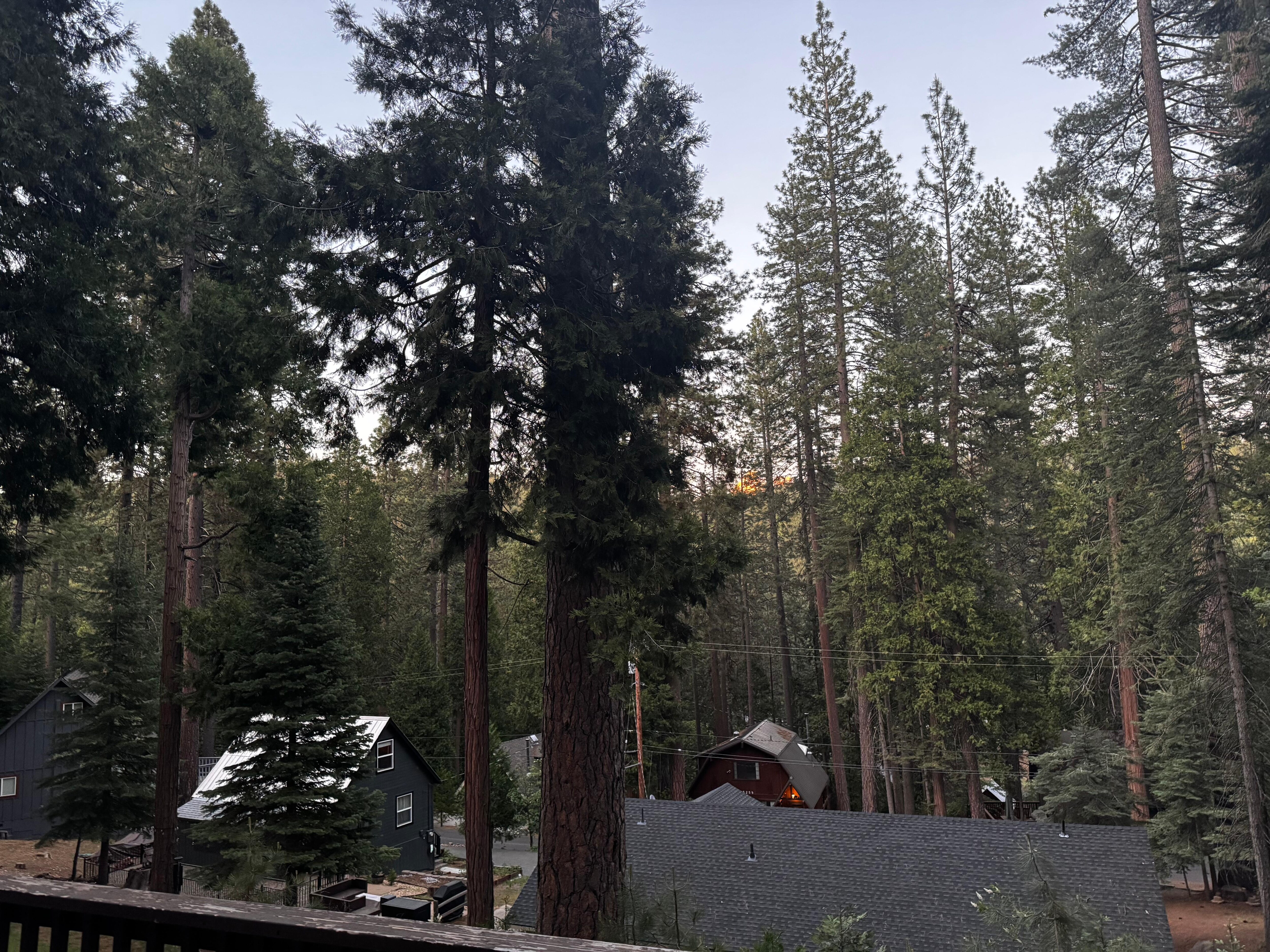 Beautiful view 