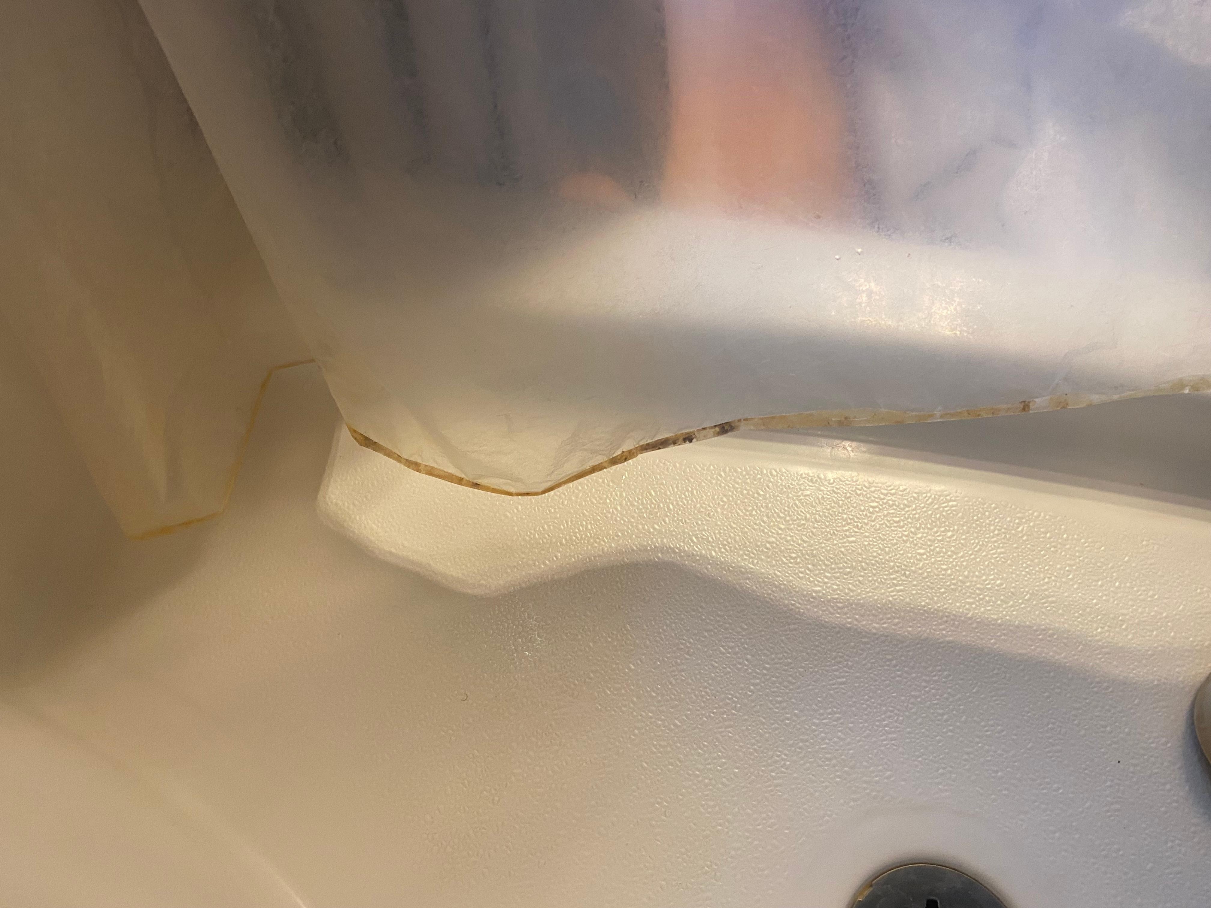 Dirty shower liners — yuck!