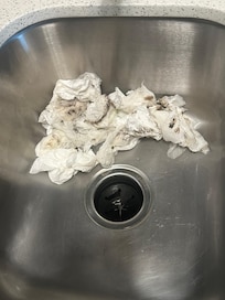 Paper towels used to clean garbage disposal mold and mildew.