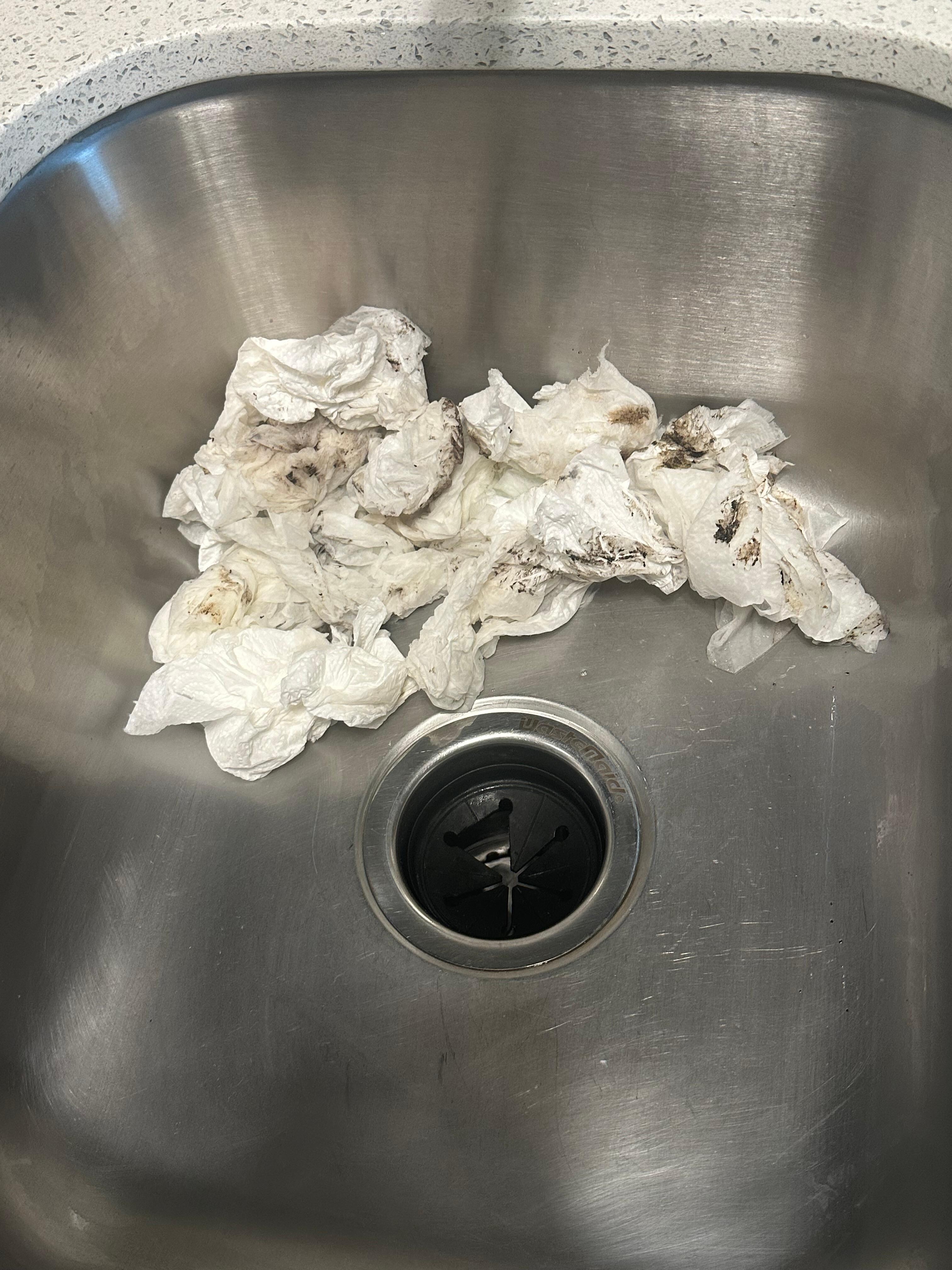 Paper towels used to clean garbage disposal mold and mildew.  