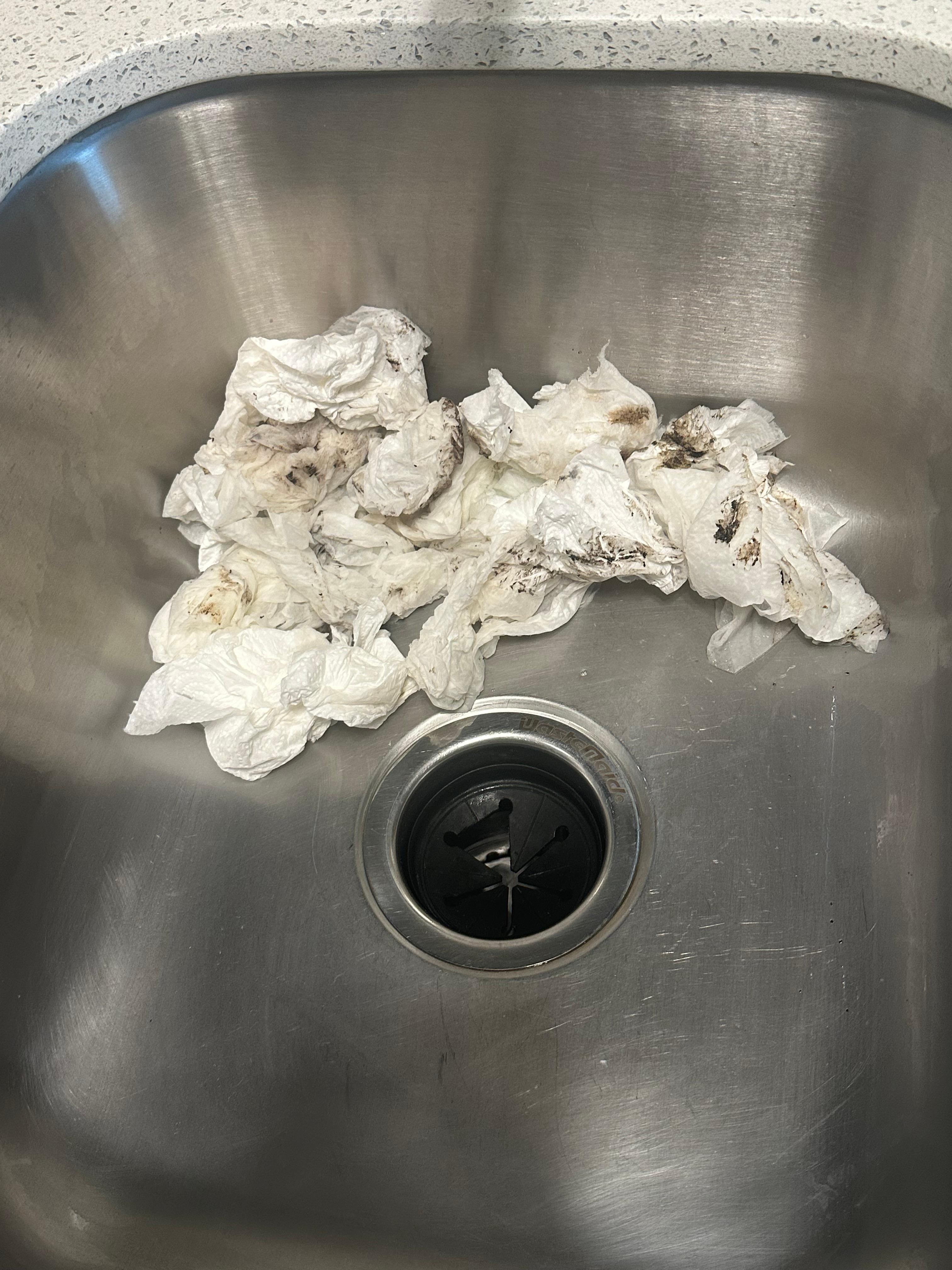 Paper towels used to clean garbage disposal mold and mildew.