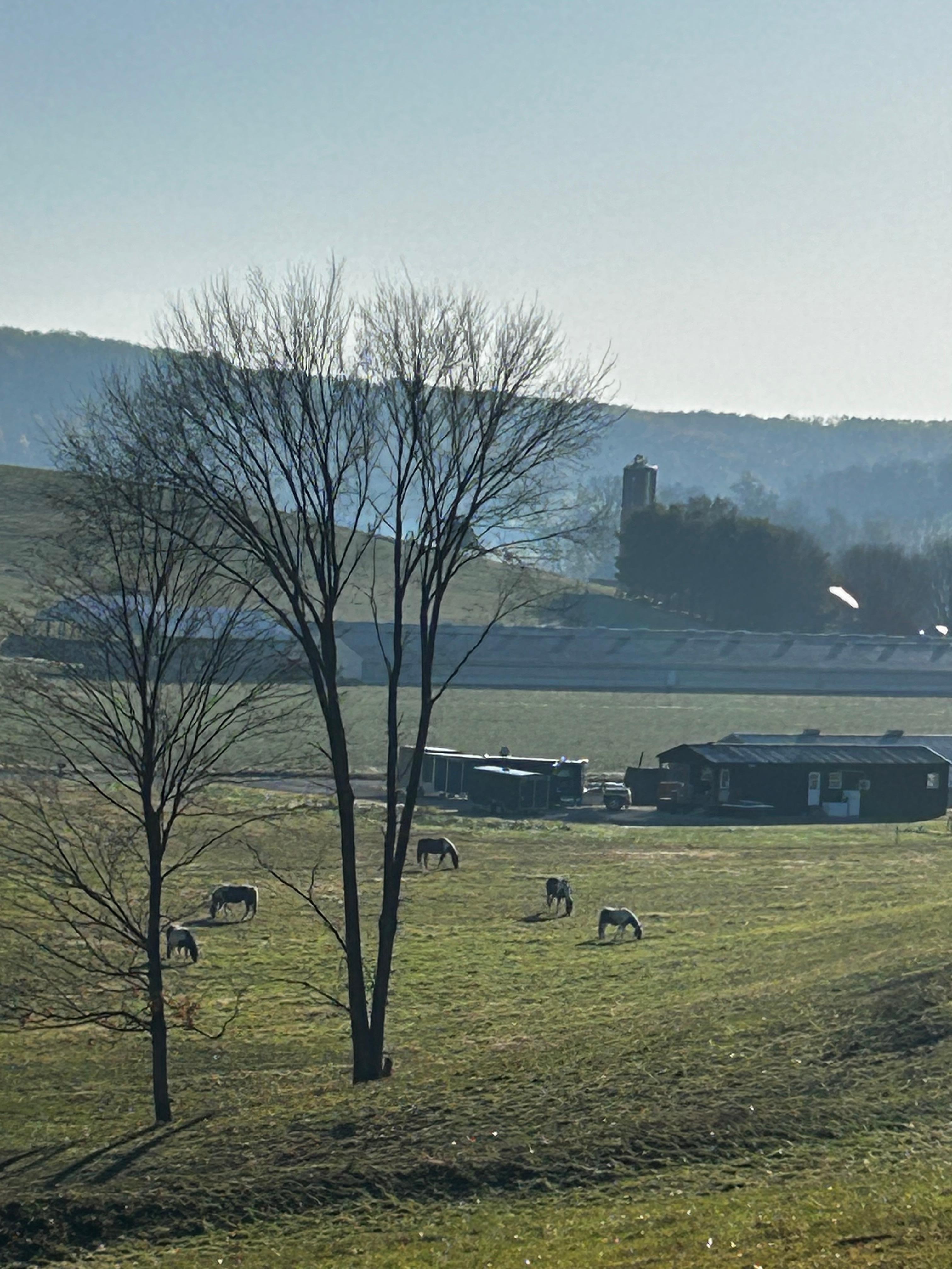 Amazing views from property!