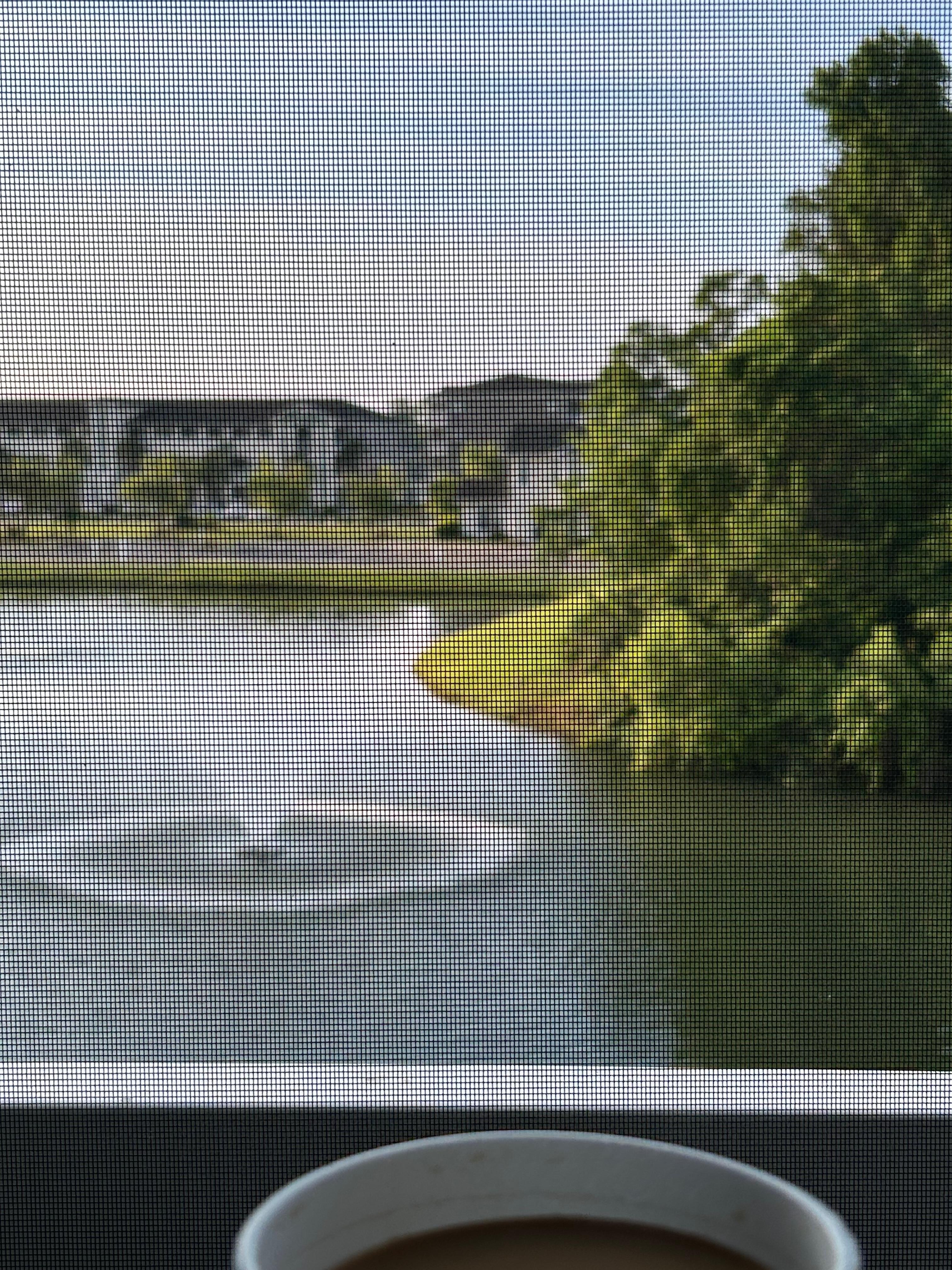 View from screened in balcony