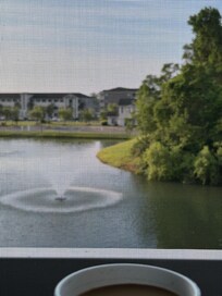 View from screened in balcony