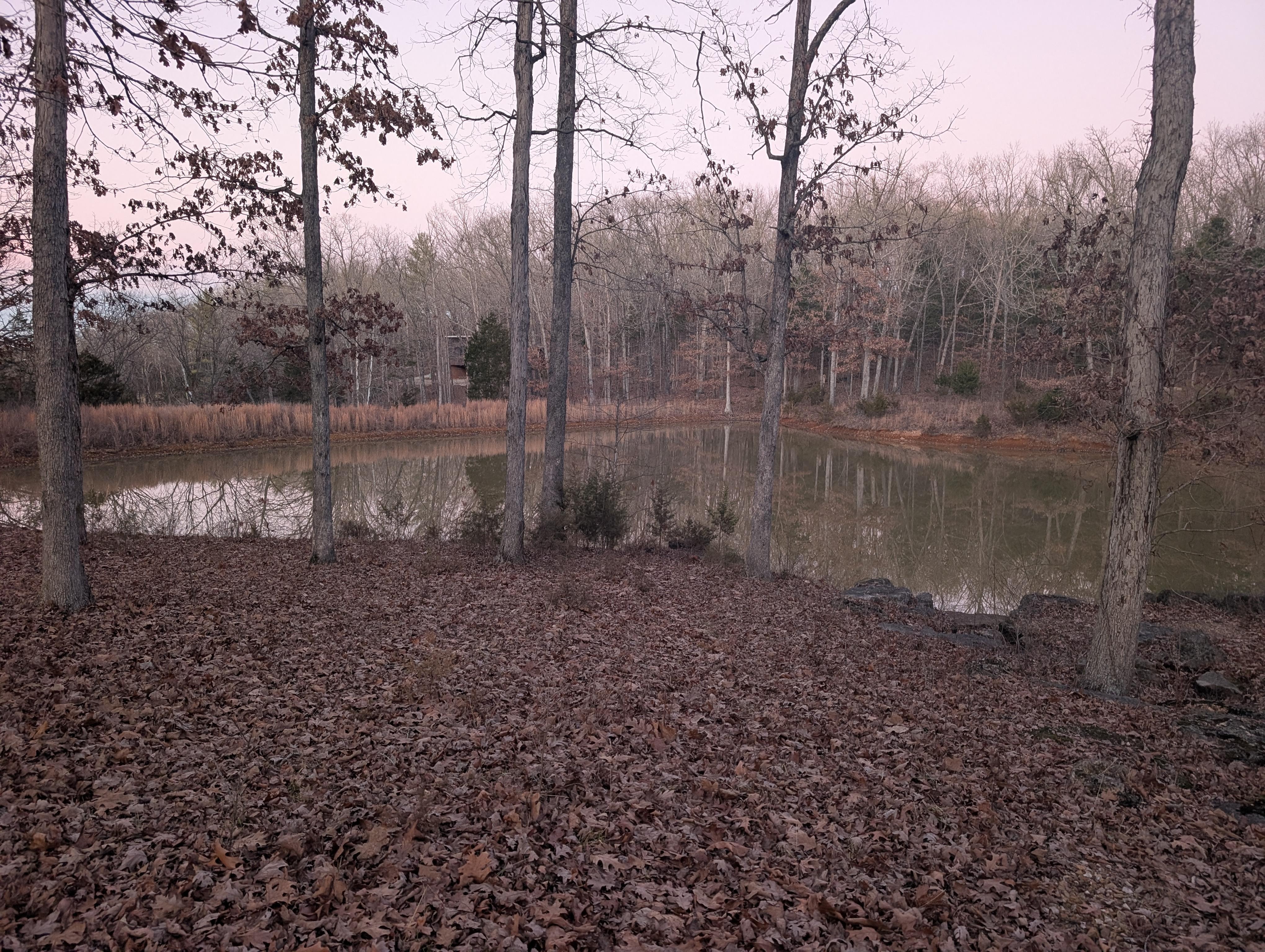 Pond on the property