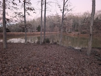 Pond on the property