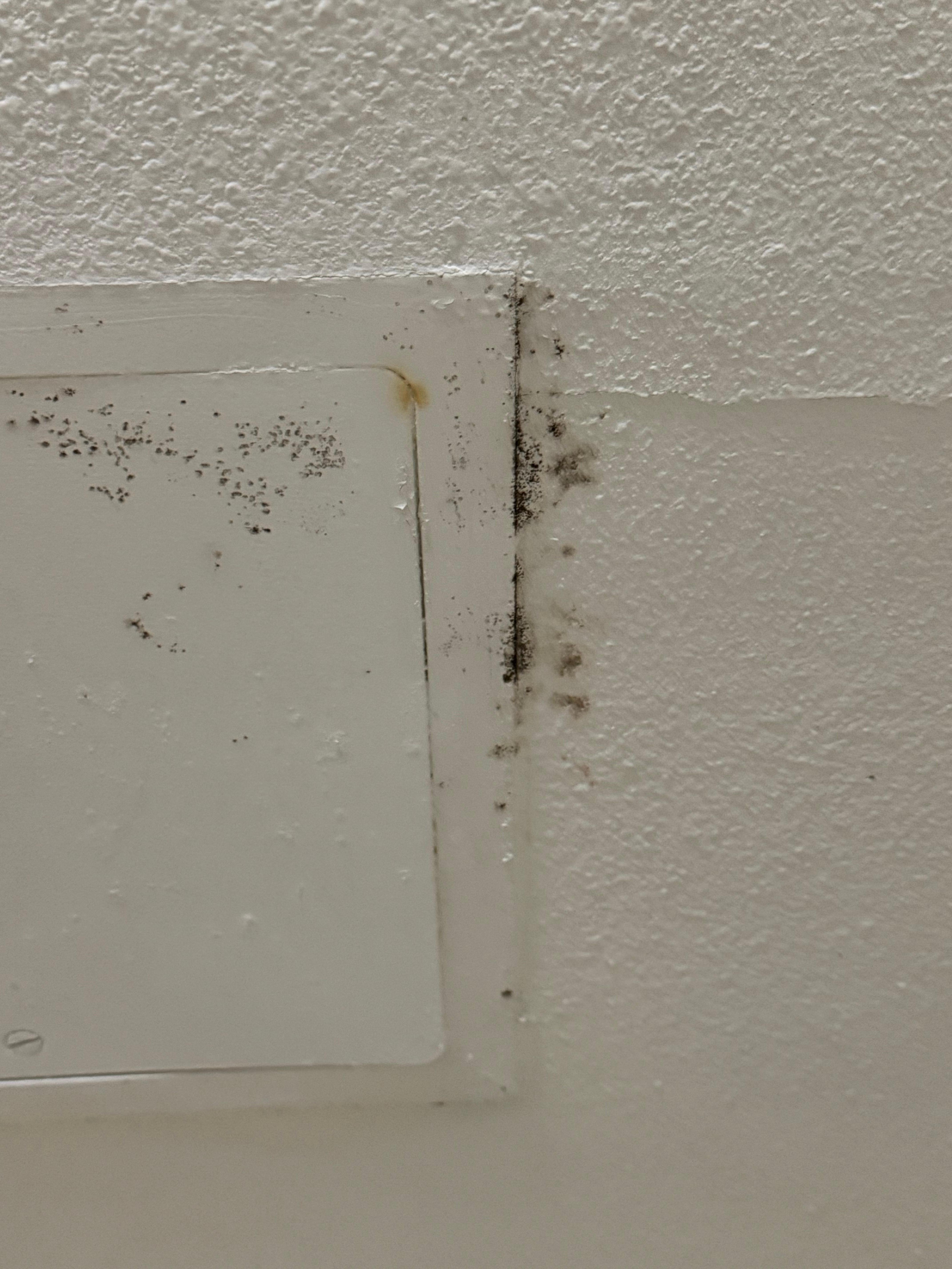 Mold