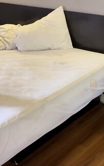 Mattress cover that NEEDS to be thrown out