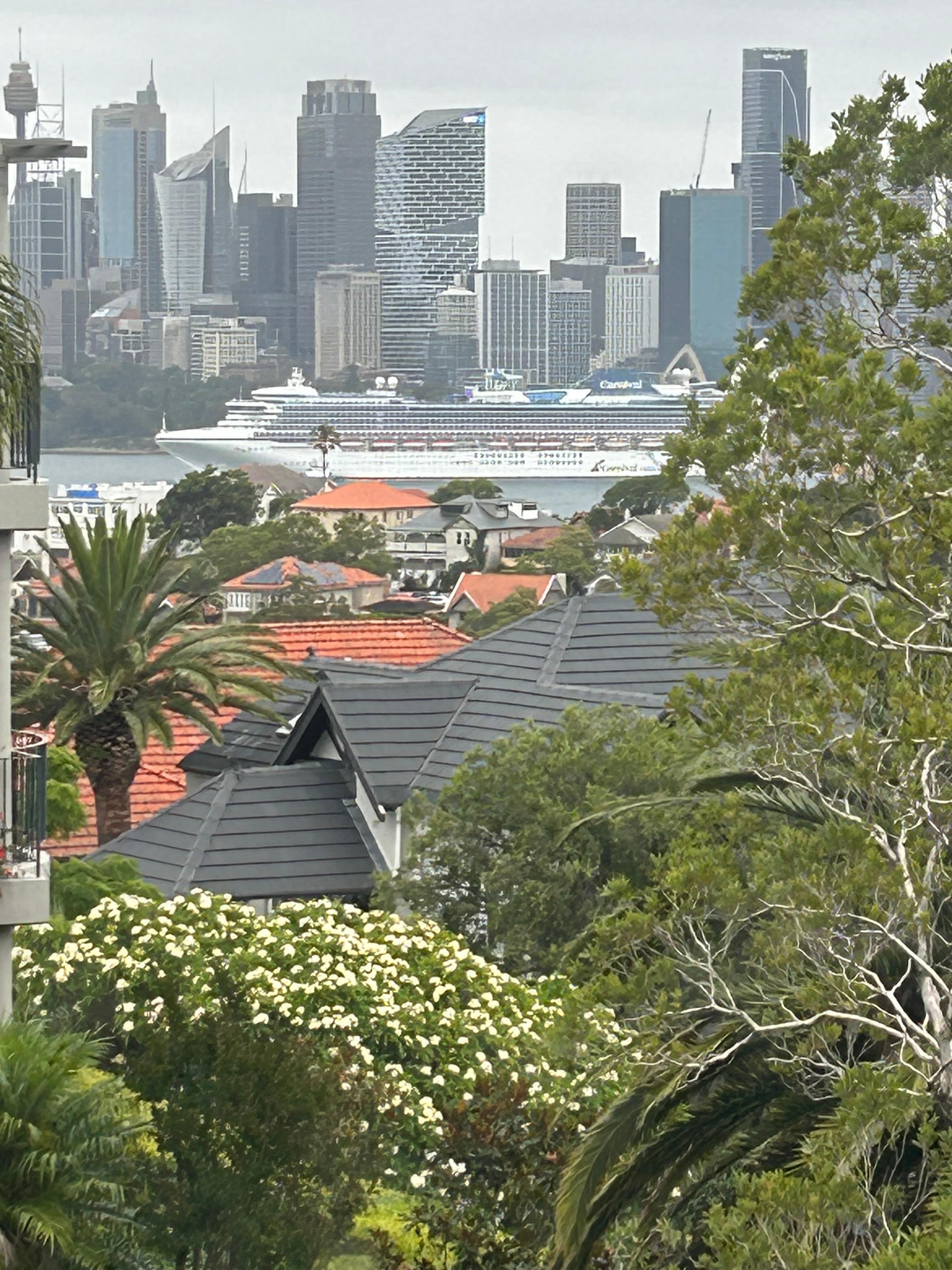 View from living room