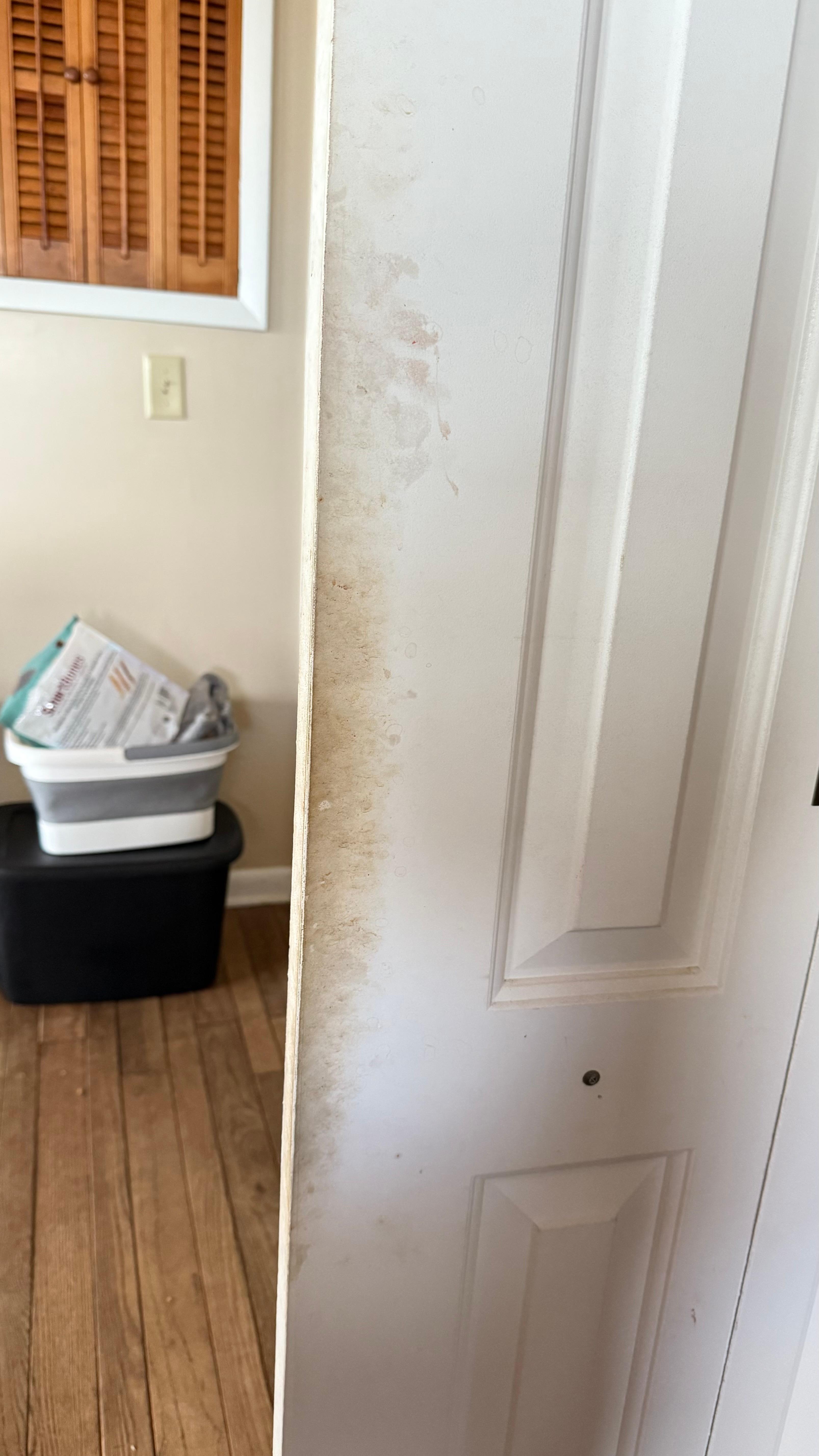 This was the pantry door. 