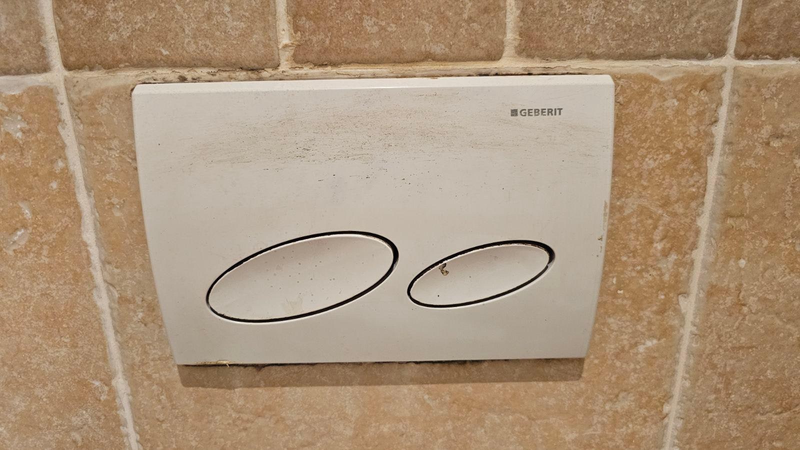Uncleaned Flush Buttons
