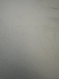 Hair on duvet