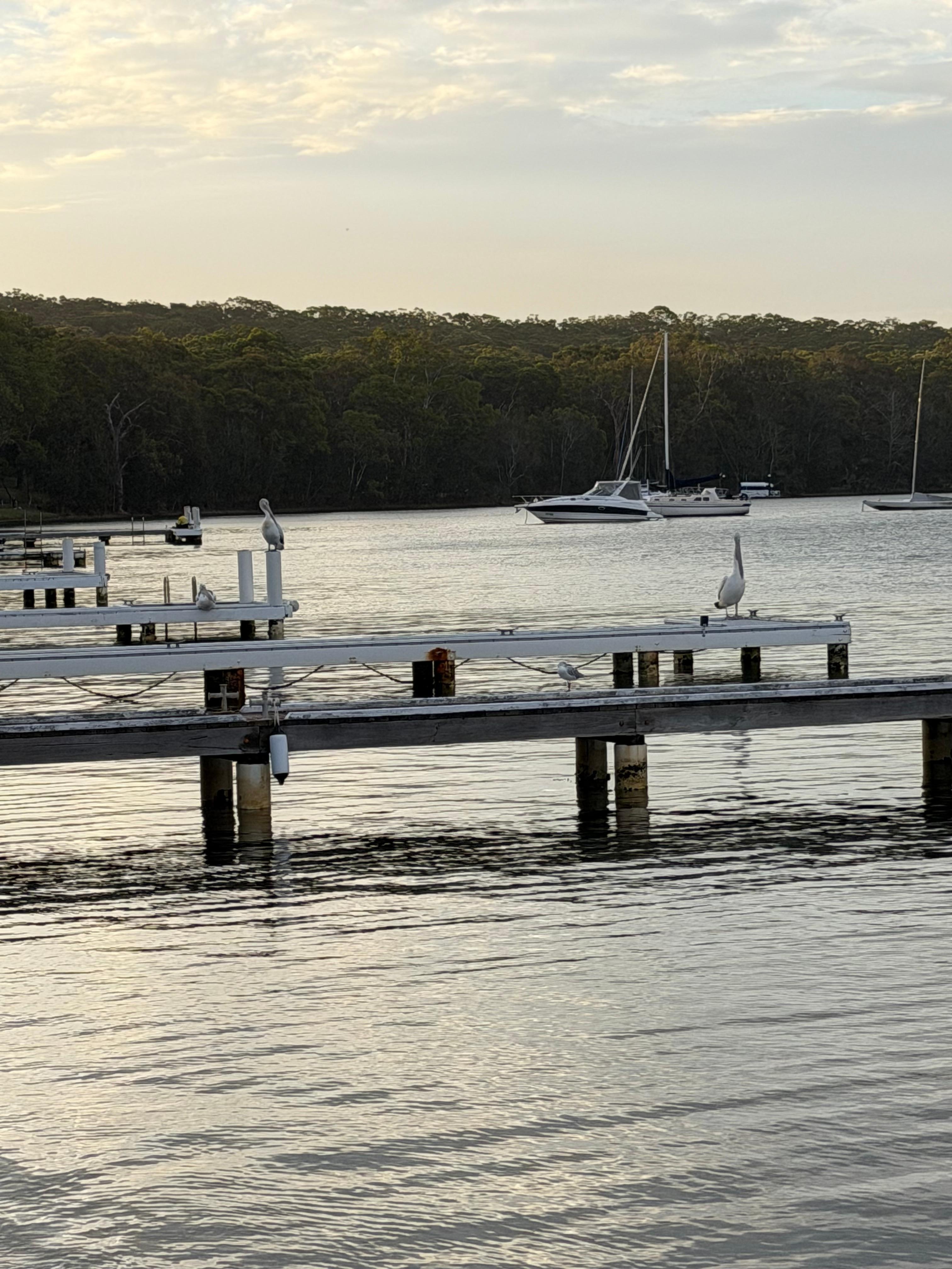 Actual view from the house. 