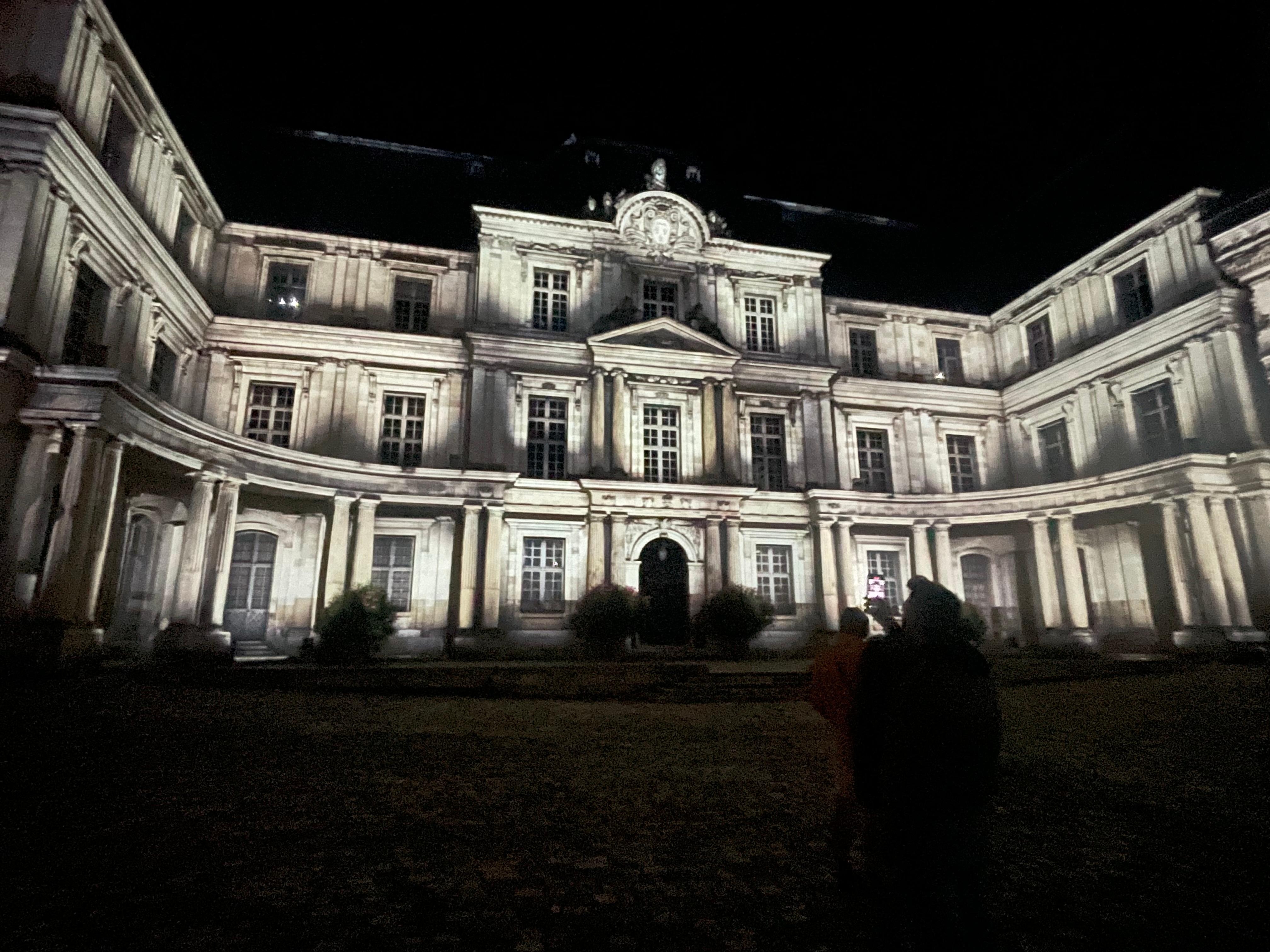 Blois royal Castle night light show 