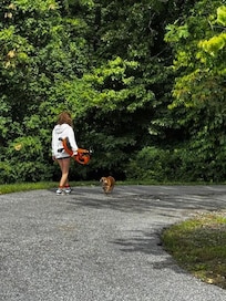 My kids pooled their money together to buy a scooter so that they could race down the hills...made for good exercise for the dog as well!