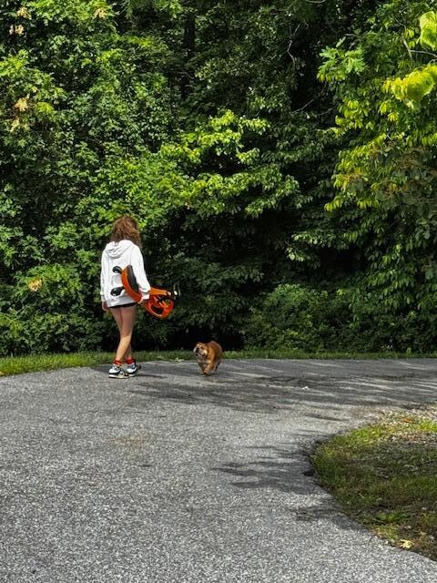 My kids pooled their money together to buy a scooter so that they could race down the hills...made for good exercise for the dog as well!