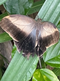 All at Fairchild Tropical Botanical Gardens