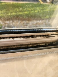 Window in our room moldy
