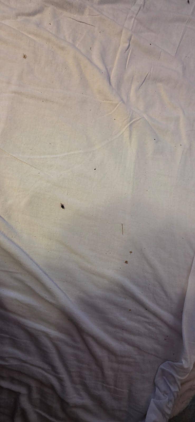 Draps sortie de la blanchisserie(?)