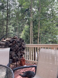 Really enjoyed the big porch