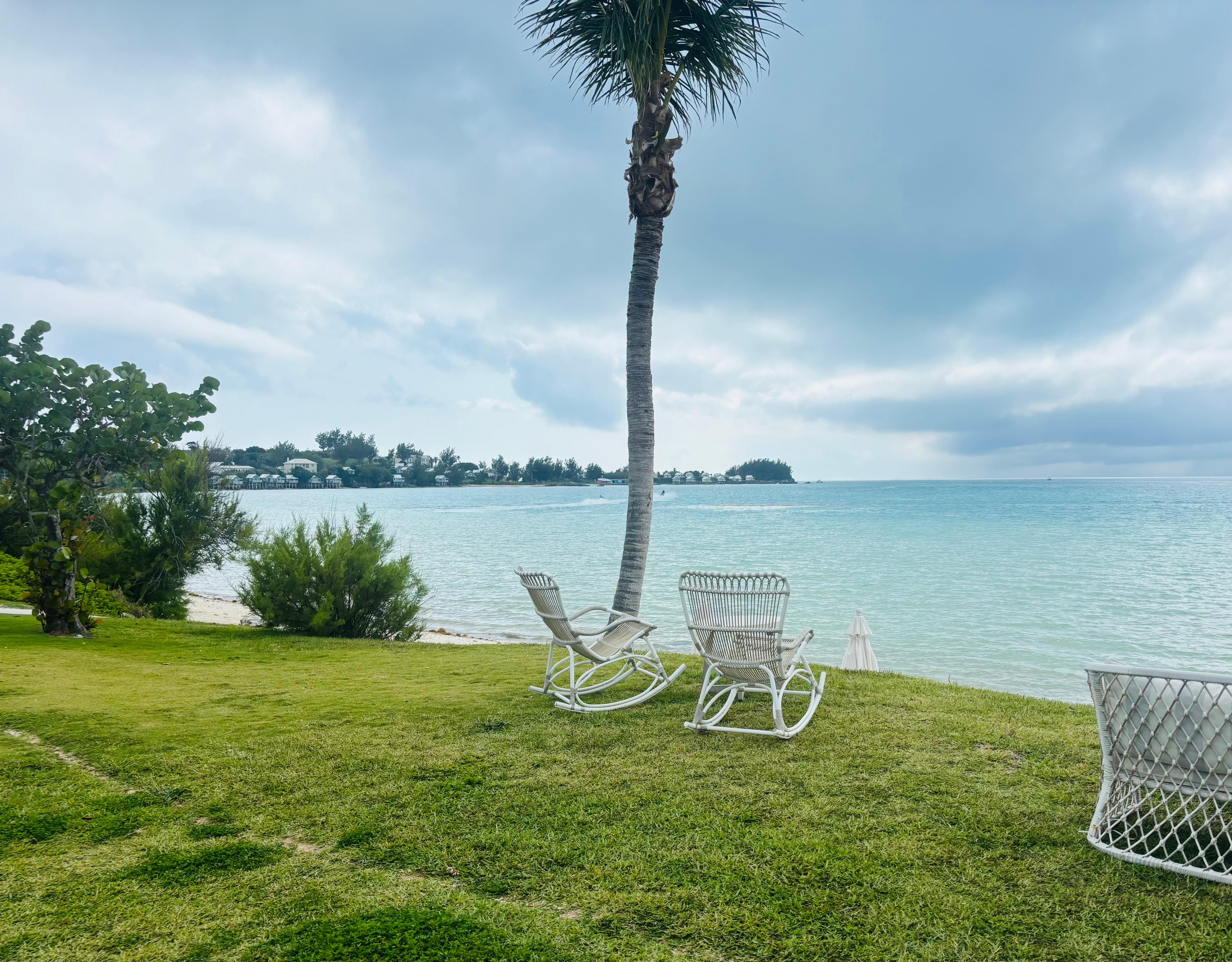 Grass and shade or sun and sand! 