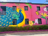 One of the colourful murals.