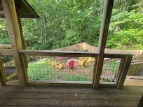 Fenced in dog area