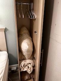 Only closet in room