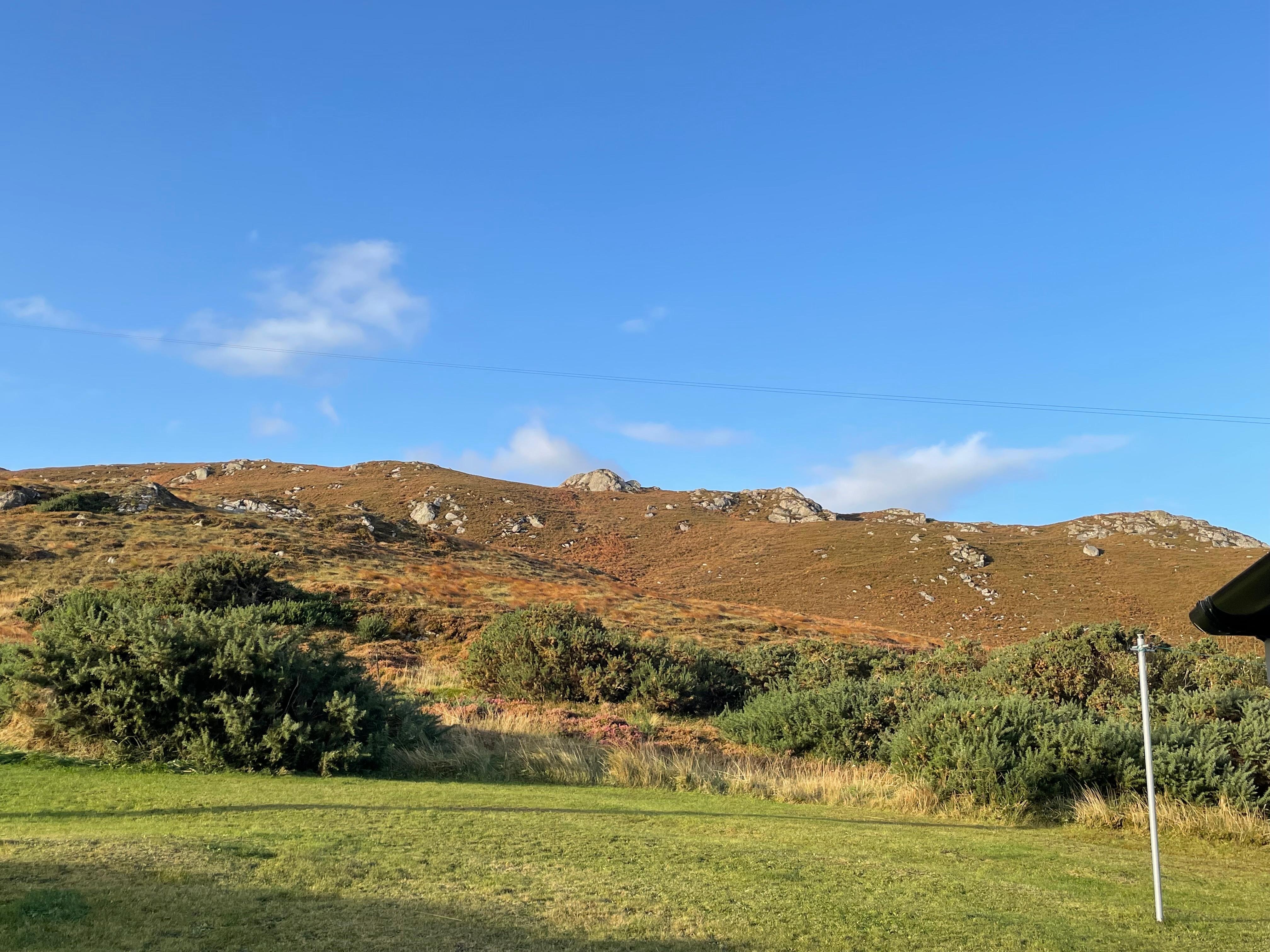 View from the back door