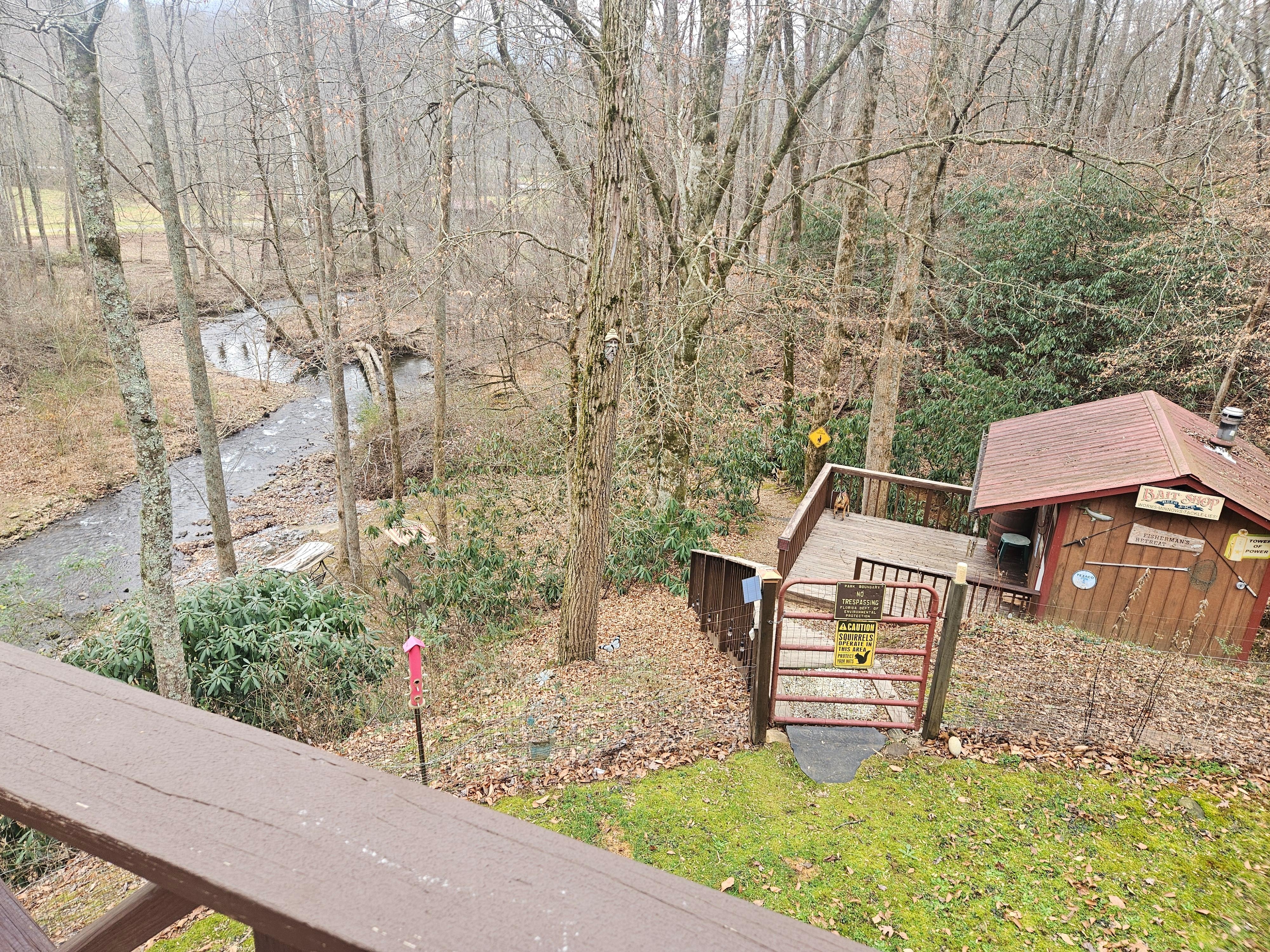 Sauna, firepit & hammock.