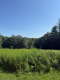 View from back deck
