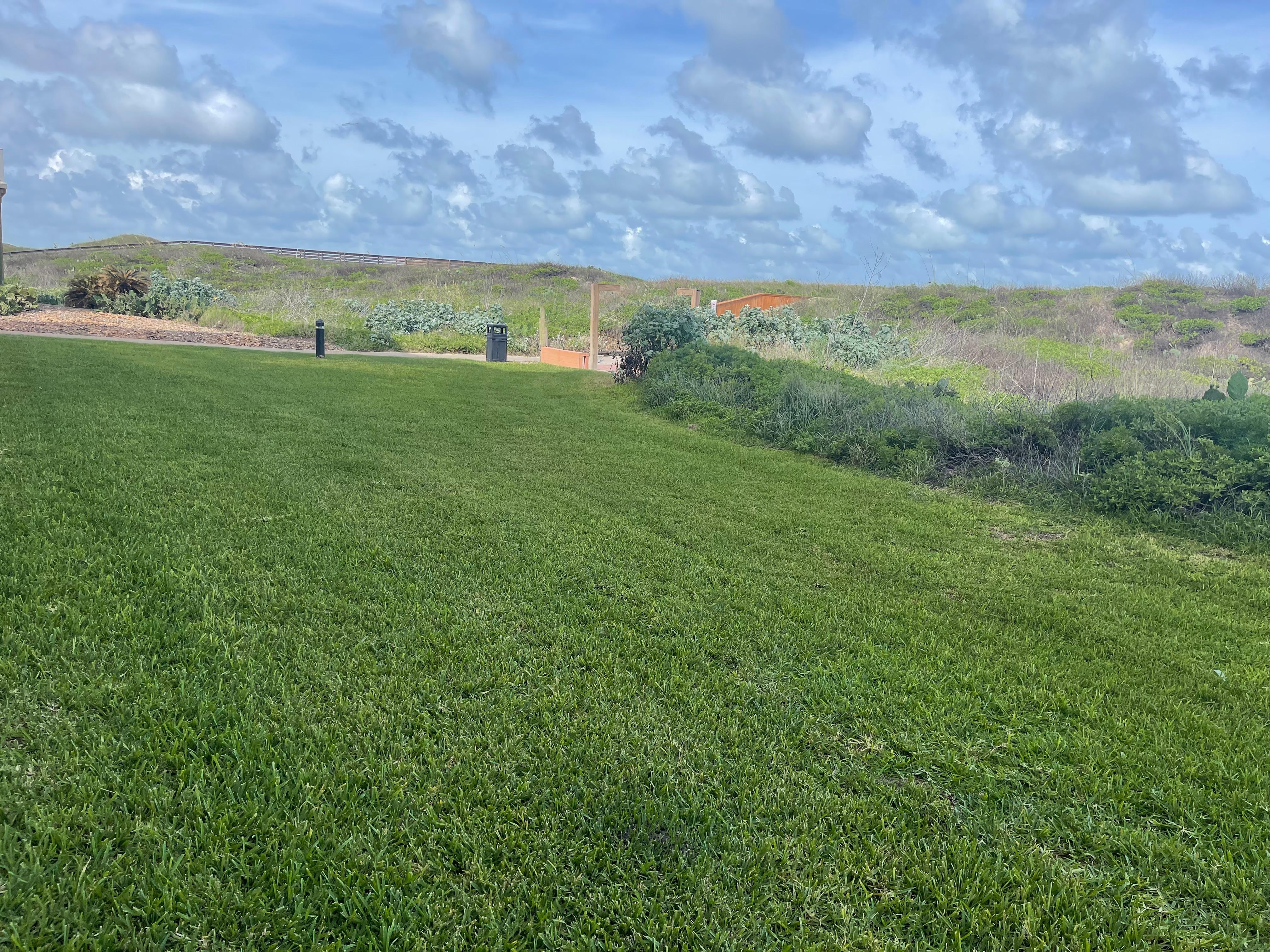View from patio to boardwalk. 