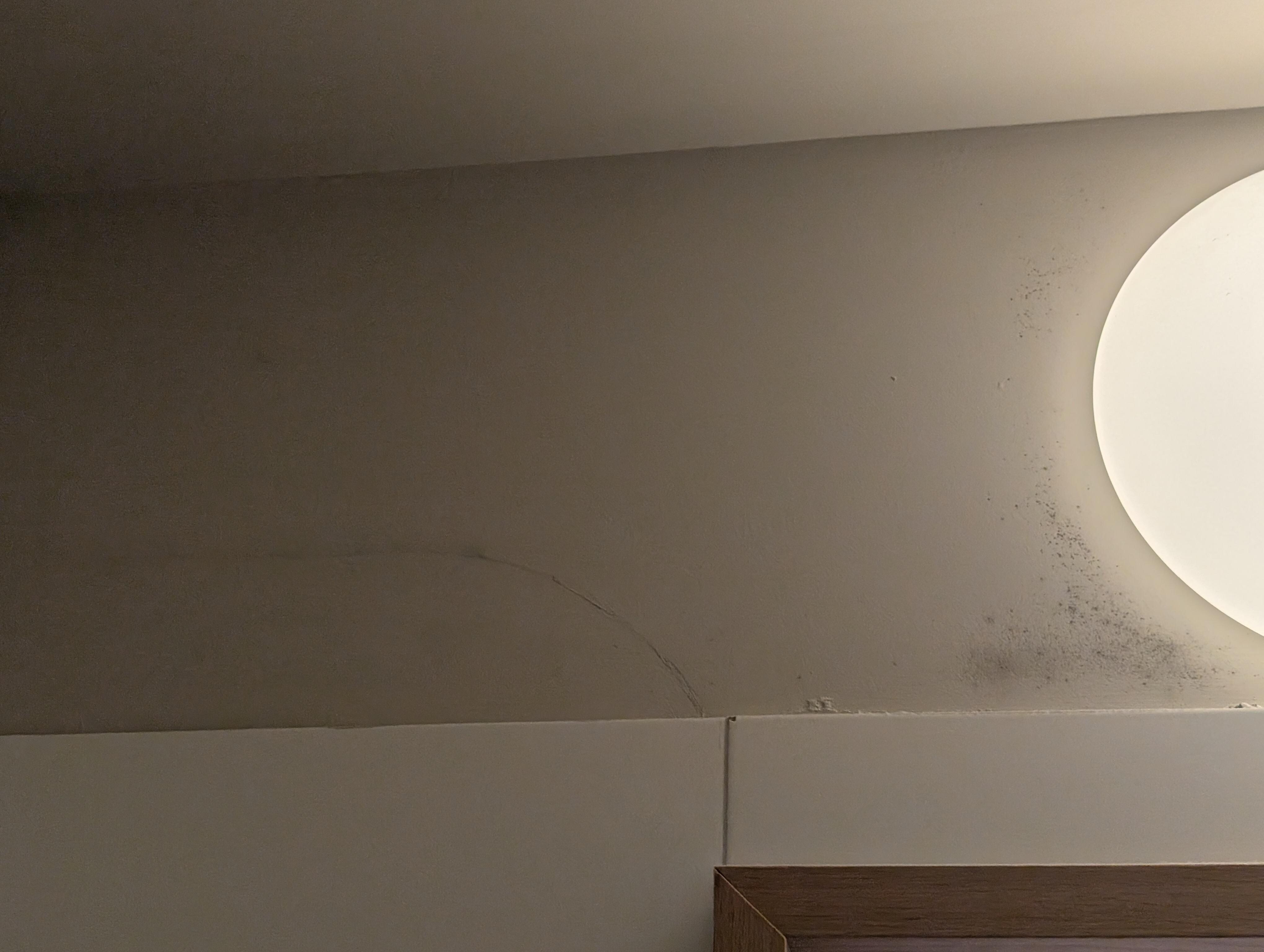 More mold, continuing the length of the one wall