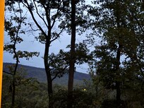 View from cabin