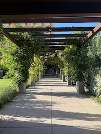 Grounds