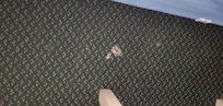 Carpet stains