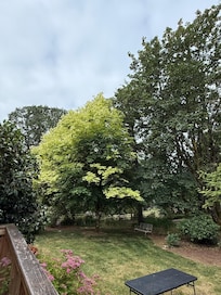 Beautiful mature landscaping and lots of tall trees.