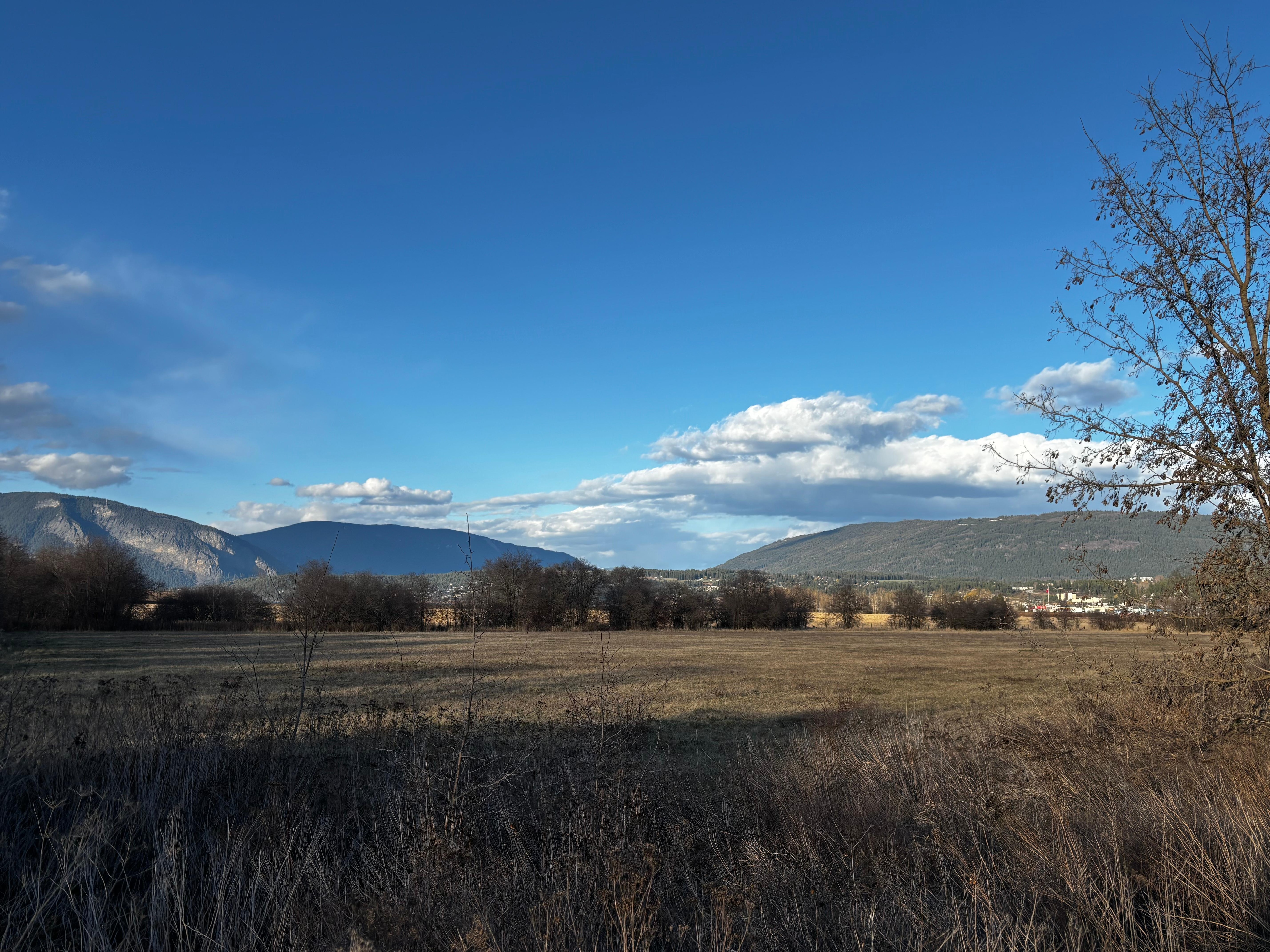 Taken from rear of property 